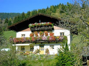 Haus Schwab, Taxenbach, Österreich